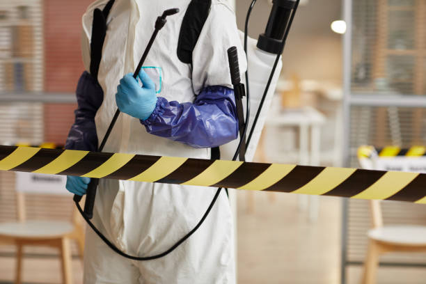Professional Sewage Cleanup technician working in Etna, NH
